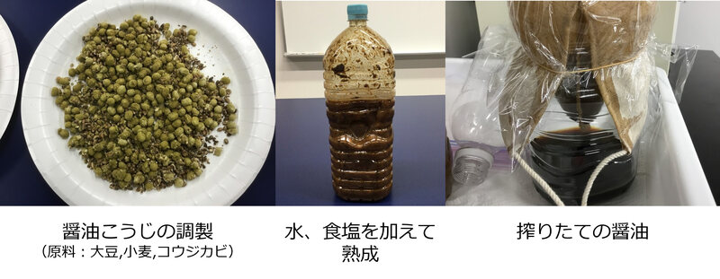 教育実践ゼミ：発酵食品を作ろう！