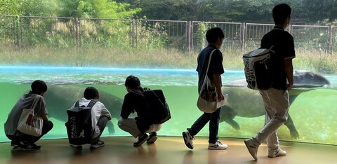 学外フィールドワーク「動物園〜絶滅危惧種であるマレーバクの飼育コーナーにて〜」