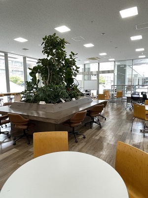 図書館のフリースペース（MEISEI　HUB）