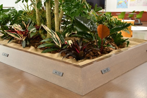 フリースペース写真2